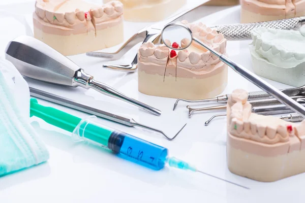 Teeth mold and basic dental tools on white table