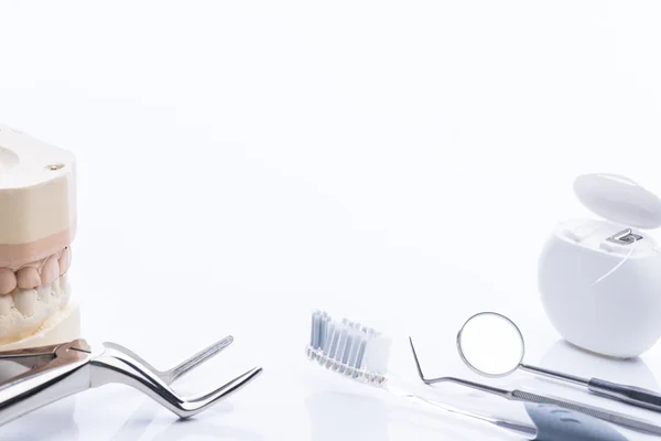 Teeth molds with basic dental tools on a bright white table