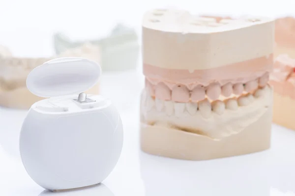 Teeth molds with dental floss on a bright white table