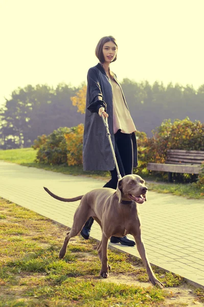 Fashion girl model walk with her dog outdoor park nature background