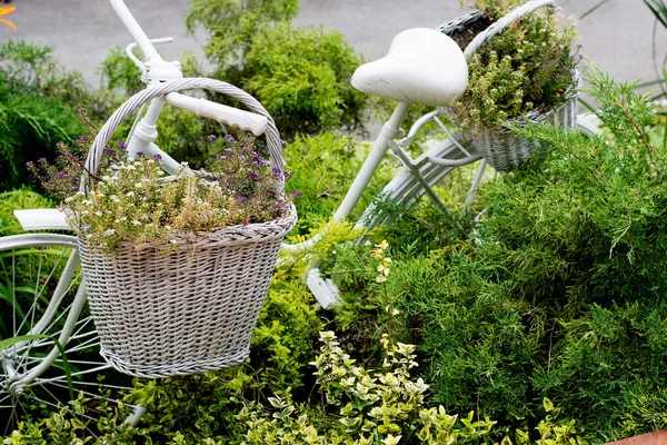 Old bicycle ideas for gardening