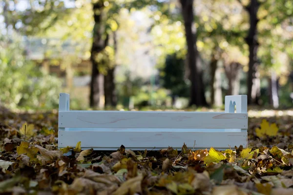 Baby bed in autumn leaves