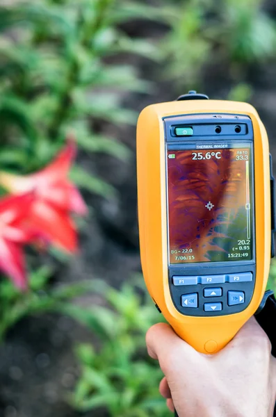 Thermal imaging inspection of plants at the garden