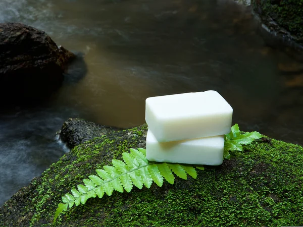 Alternative skin care homemade soap on stone, green leaf with tr