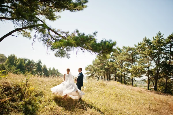 Lovely wedding couple at sunny day on pine wood