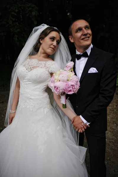 Vertical photo of young fashion wedding couple on dark forest