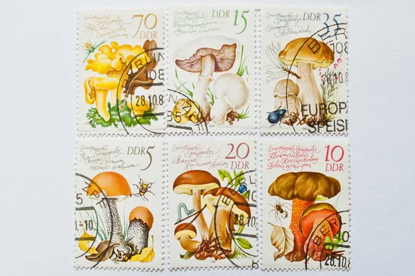 UZHGOROD, UKRAINE - CIRCA MAY, 2016: Collection of postage stamp