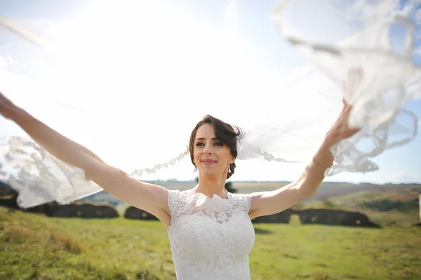 Bride play on wind with veil