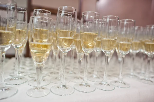 Glasses of champagne on wedding reception