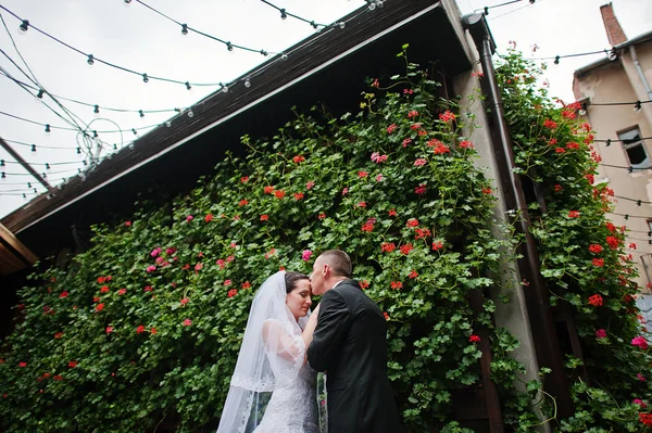 Just married stay and kissing background wall of flowers