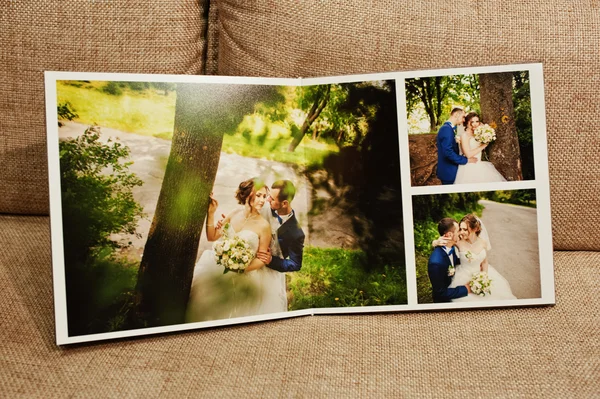 Gray and brown textile velvet wedding book and album