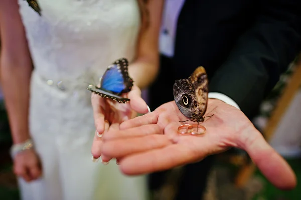 Wedding couple holding rings with butterflies