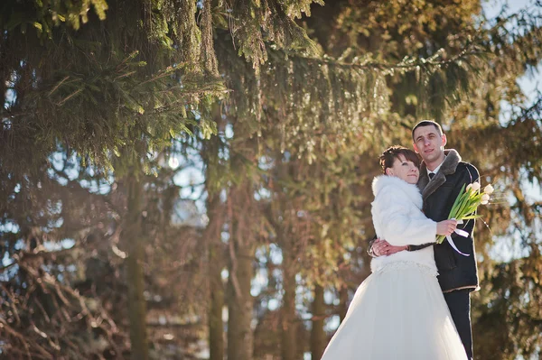 Wedding couple at the winter day