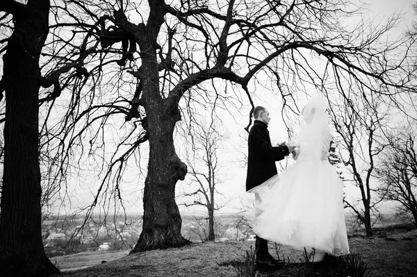 Young wedding couple on winter background stone landskape and wa