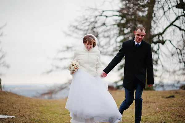 Young wedding couple on winter background stone landskape and wa