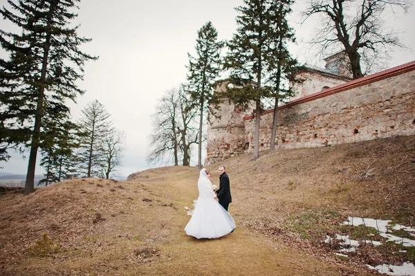 Young wedding couple on winter background stone landskape and wa