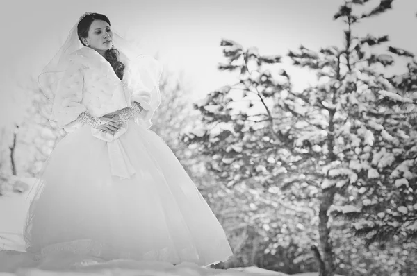 Bride on snow at the wedding day on winter