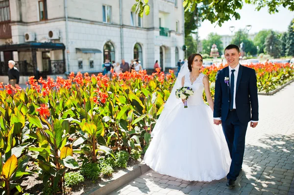 Wedding couple walking on streets of city with with lawns of red