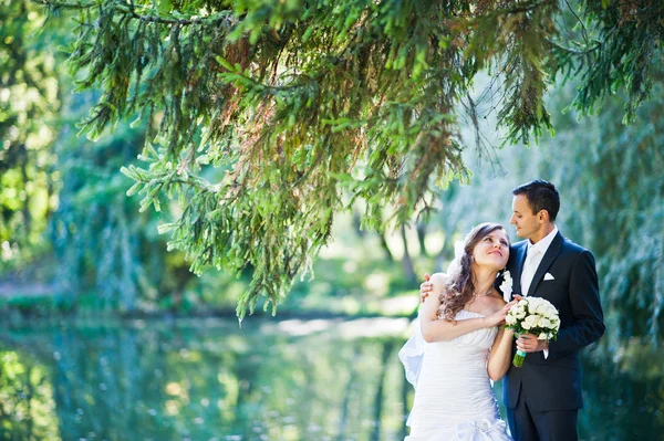Adult wedding couple at the park background lake