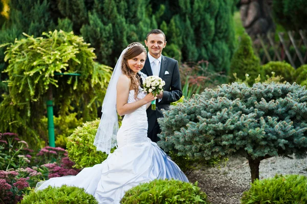 Wedding couple on the yard with ornamental plants and shrubs