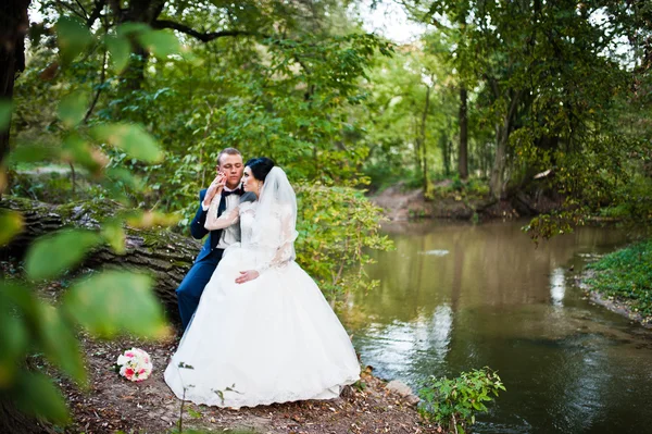 Wedding couple sitting on cut down tree background the river