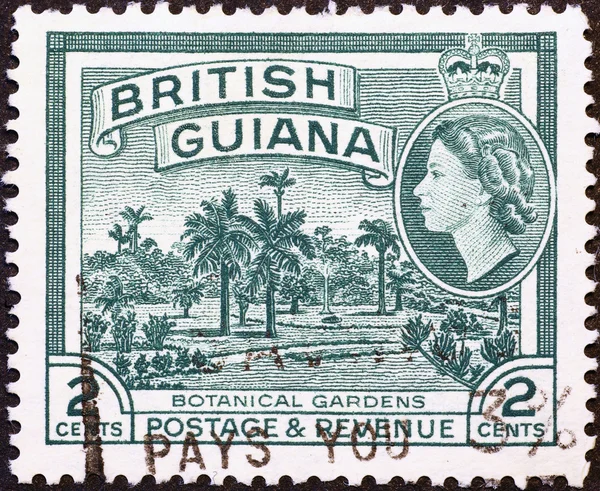 Botanical gardens on vintage stamp of British Guiana