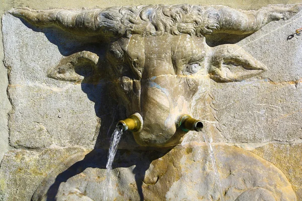 Stone bull head fountain on wall