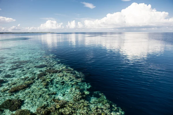 Shallow Reef and Drop Off in Pacific