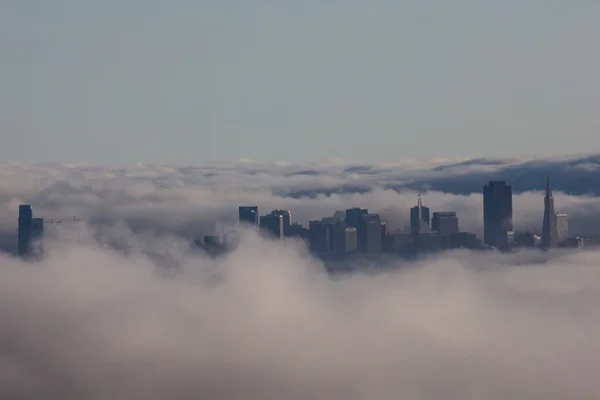 San Francisco city in fog.