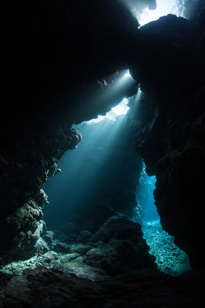 Beams of sunlight pass into the depths of coral reef