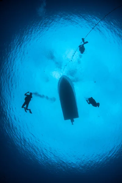 Scuba Divers in Blue Water