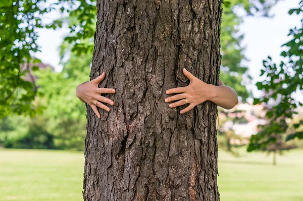 Happy woman hugging a tree in the forest