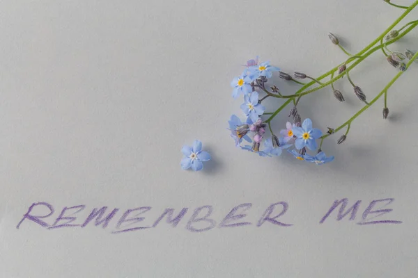 Forget-me-not flower on note