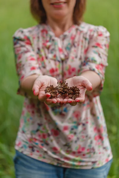 Pine cone is holding by hands