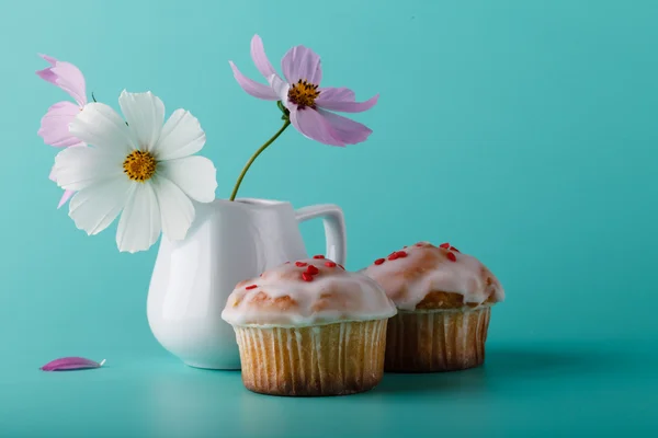 Muffin with flower. Aqua color background