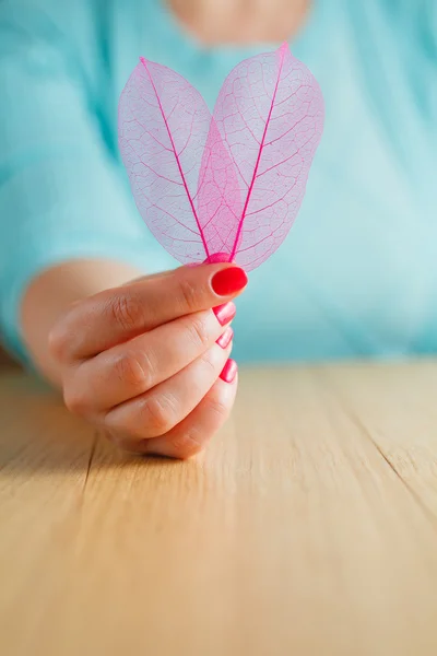 Hand holding a skeleton leaf