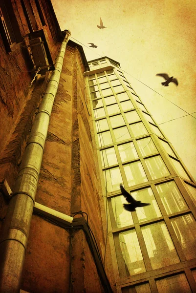 Courtyard with old glass elevator shaft and flying birds