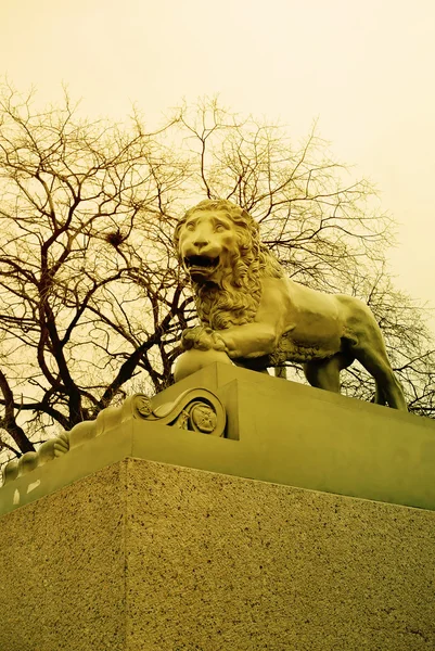 The Lion Statue Saint Petersburg, Russian