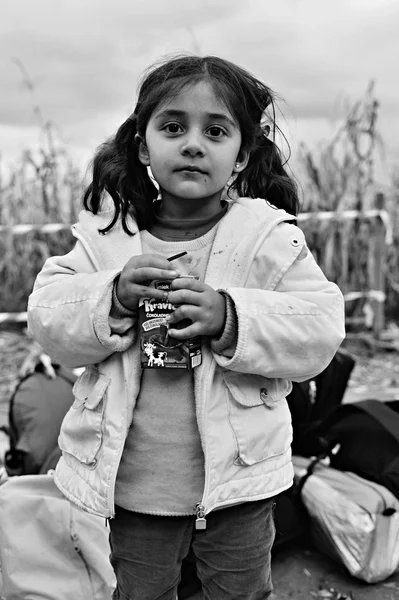 Refugees in Babska (Serbian - Croatina border)