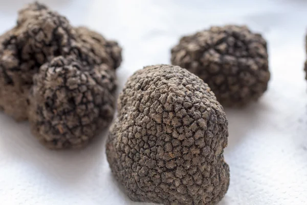 黑菌 - 图库照片genoapixel#85473526