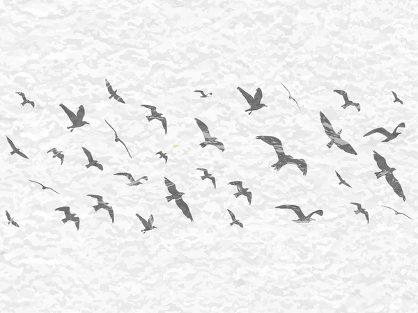 Flying birds silhouettes on white grunge background. Vector illustration