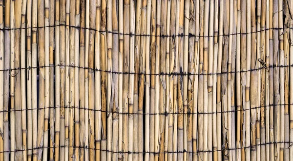 Texture of wall of bound bamboo