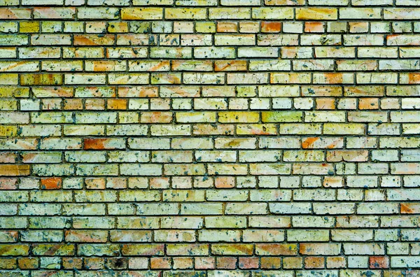 Texture of green multicolored brick wall