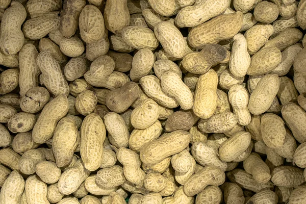 Roasted peanuts macro warm filtered background