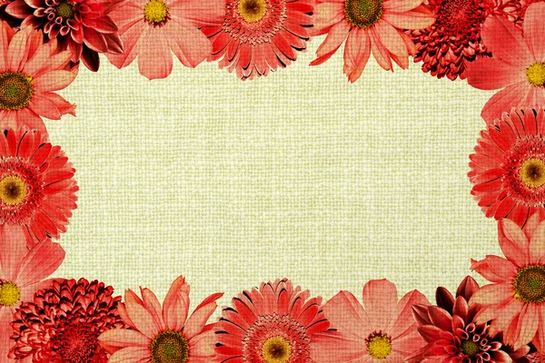Vintage frame with red flowers collage mix gerbera, chrysanthemum, dahlia, primula, decorative sunflower and old cloth texture warm filtered