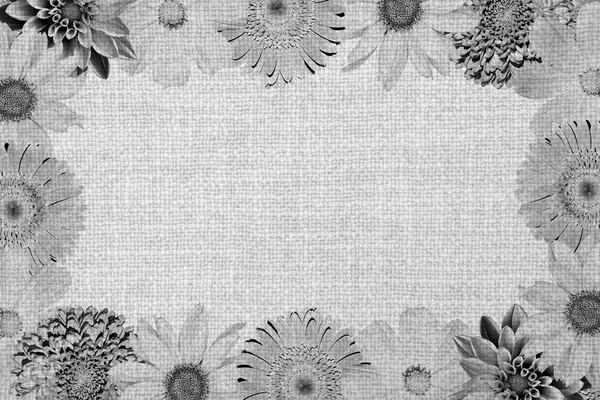 Vintage frame with flowers collage mix gerbera, chrysanthemum, dahlia, primula, decorative sunflower and old cloth texture black and white