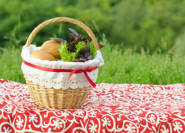 Decorated picnic basket with buns and bunch of basil and salad on red tablecloth, green landscape