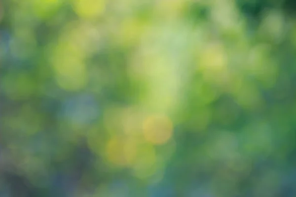 Abstract, blurred soft nature green background, bokeh circles.
