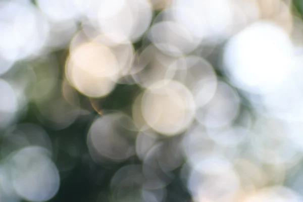 Abstract, blurred nature background, bokeh circles.