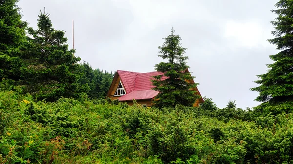 Mountain landscape in Carpathians, wooden house among the pines in rain weather Ukraine.